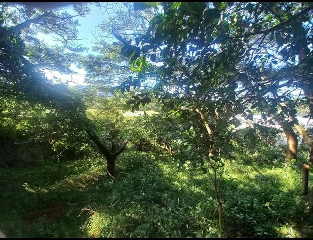 LAND FOR SALE IN SIMBITHI ECO ESTATE